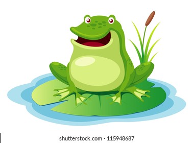 illustration of green frog on a leaf pond