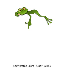 Illustration Green Frog on Lies White Background