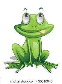 Illustration of green frog on white