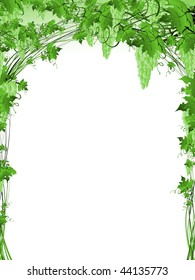 Illustration of green grape vine frame with copyspace for your text
