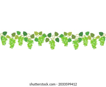 It is an illustration of green grapes that can be used for decoration.