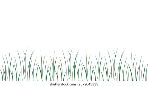  Illustration of green grass blades on a white background. Minimalist and clean design with natural elements