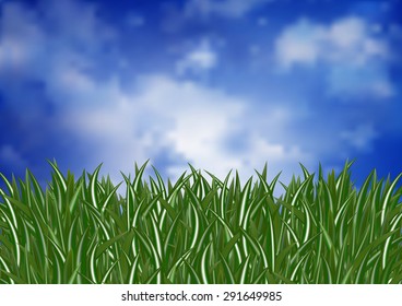 Illustration of green grass and cloudy sky
