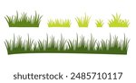 
illustration green grass, collection. Nature vector illustration, land ecosystem grass.