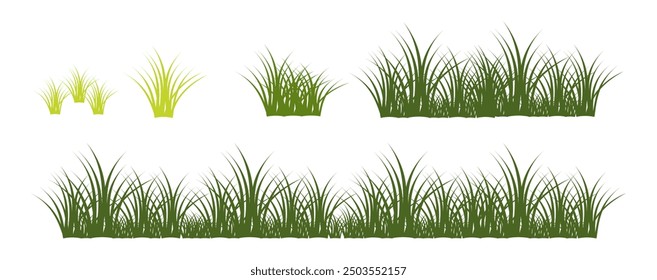 illustration green grass, collection. Nature vector illustration, land ecosystem grass.