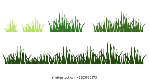 illustration green grass, collection. Nature vector illustration, land ecosystem grass.