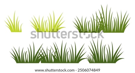 illustration green grass, collection. Nature vector illustration, land ecosystem grass.