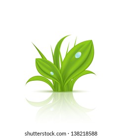 Illustration green grass with drops isolated on white background - vector