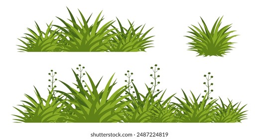 Illustration of green grass and flowers. vector collection of grass in flat style. Spring green grass, green lawn. summer nature background