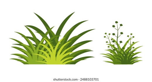 Illustration of green grass and flowers. vector collection of grass in flat style. Spring green grass, green lawn. summer nature background