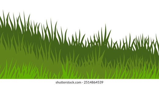 Illustration of green grass and flowers. vector collection of grass in flat style. Spring green grass, green lawn. summer nature background