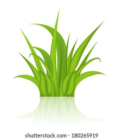 Illustration green grass isolated on white background - vector
