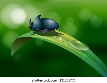 Illustration of a green leaf with a beetle