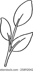 illustration of a green leaf branch.