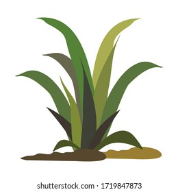 
illustration of green leaf in cartoon style. pineapple leaf.
