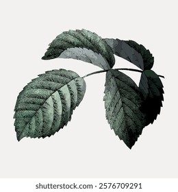 Illustration of a green leaf with detailed texture. The leaf's texture and green hue are highlighted, showing intricate patterns and shades. Leaf design in focus. Vintage botanical illustration vector