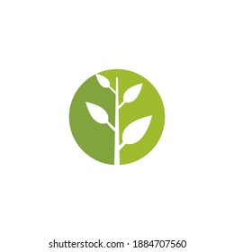 illustration of Green leaf  logo design