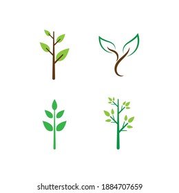illustration of Green leaf  logo design