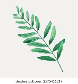 Illustration of a green leaf with multiple leaflets. The leaf is detailed, showcasing vibrant green shades. Botanical art of a green leaf, perfect for nature themes. Vintage art vector element.