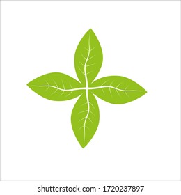 a illustration of green leaf natural