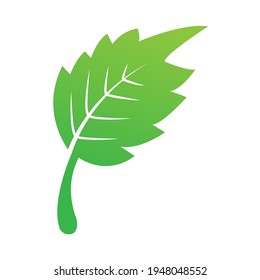 una ilustración de la hoja verde natural