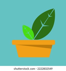 Illustration of green leaf in the orange pot.
