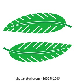 illustration of green leaf. green leaf pattern. 