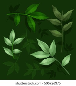 Illustration of green  leaf set