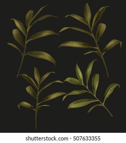 Illustration of green  leaf set
