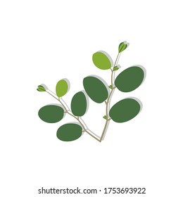 illustration of a green leaf with a shadow