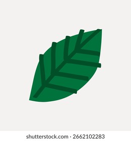 Illustration of a green leaf with simple lines and a minimalist design. The green leaf stands out with its bold, clean lines and vibrant green color. Botanical vector.