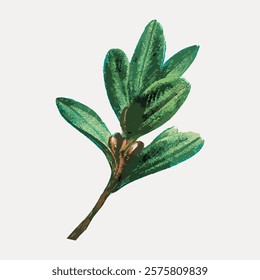 Illustration of a green leafy branch with multiple leaves. The leaves are vibrant green, showcasing detailed textures. A simple, natural design of leaves. Vintage art, isolated vector element.