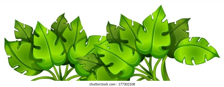 Illustration of the green leafy plant on a white background