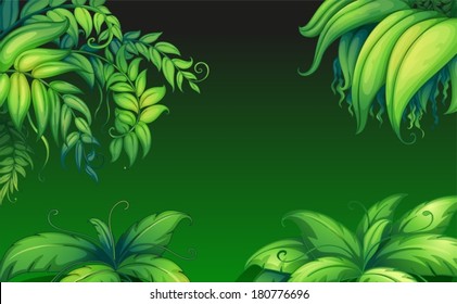 Illustration of the green leafy plants