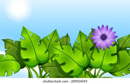 Illustration of the green leaves