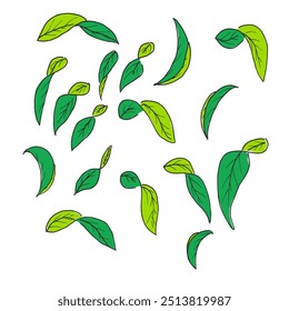 La ilustración de hojas verdes