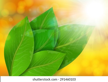Illustration of green leaves with bokeh background
