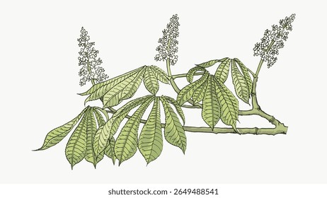 Illustration of green leaves and branches. Botanical art with detailed leaves and branches. Nature-inspired design with leaves and branches. Vintage flower illustration vector.