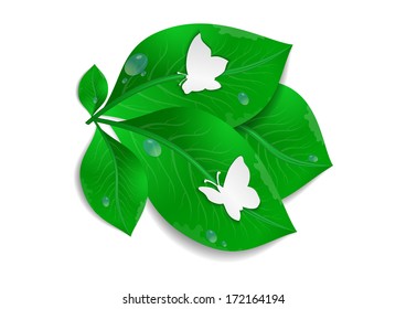 Illustration of green leaves bunch with paper butterflies and waterdrops isolated