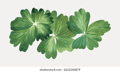 Illustration of green leaves, featuring three lush green leaves with detailed textures. The green leaves are vibrant, showcasing nature's beauty. Green leaves in focus. Vintage illustration vector.