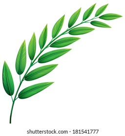 Illustration of the green leaves on a white background