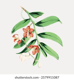 Illustration of green leaves and red flowers. Botanical art with leaves and flowers. Vibrant green leaves and delicate red flowers on a light background. Vintage flower illustration isolated, vector.