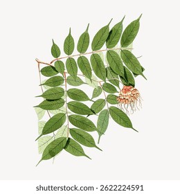 Illustration of green leaves and a single flower. Botanical art with detailed leaves and flower. Natural and elegant plant depiction. Vintage botanical illustration vector.