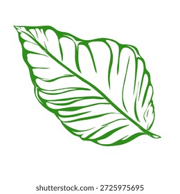 Illustration von grünen Blättern mit gestreiftem Muster ohne Hintergrund