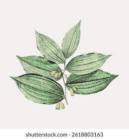 Illustration of green leaves with subtle textures. Botanical art featuring leaves, delicate and detailed. Green leaves with a natural, artistic touch. Vintage flower illustration vector.