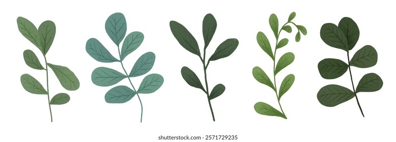 Illustration of green leaves. Various green leaves, diverse shapes. Leaf patterns, green hues. Botanical leaves, nature-inspired design. Green leaves, artistic style. Nature element vector set.