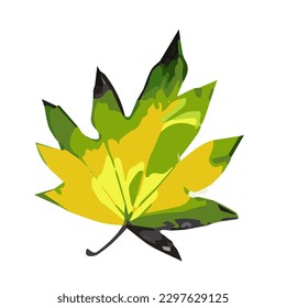 Ilustración de hoja verde de arce sobre fondo blanco