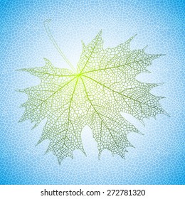 Illustration of green maple leaf with reticular background 