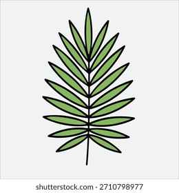 Ilustração de uma folha de palma verde com contornos em negrito em um plano de fundo plano.