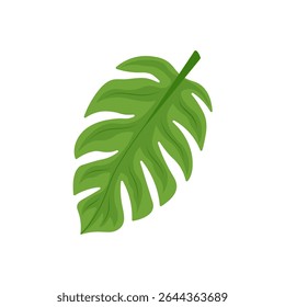 Illustration of a green palm leaf on a light background
